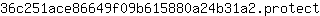 3***t