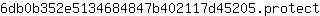 6***t