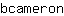 b***n