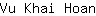 V***n