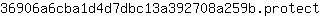 3***t
