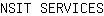 N***S