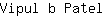 V***l