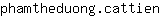 p***n