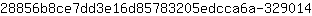 2***4