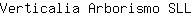 V***L