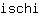 i***i