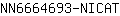 N***T