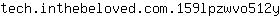 t***y