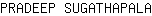 P***A