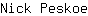 N***e