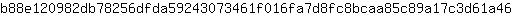 b***6