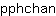 p***n