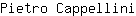 P***i
