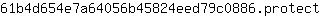 6***t