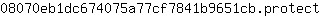 0***t