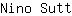 N***t