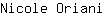 N***i