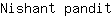 N***t