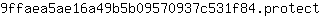 9***t