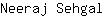 N***l