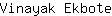 V***e