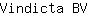 V***V