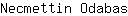 N***s