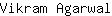 V***l