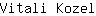 V***l