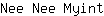 N***t