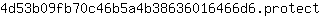 4***t