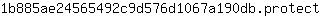 1***t
