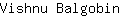 V***n