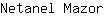 N***r