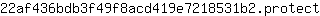 2***t