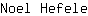 N***e