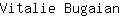 V***n