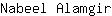 N***r