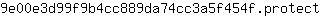 9***t