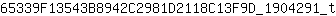6***t
