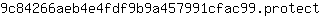 9***t