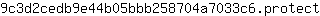 9***t