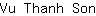 V***n