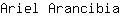 A***a