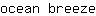 o***e