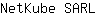 N***L