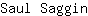 S***n