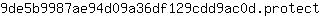 9***t