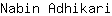 N***i